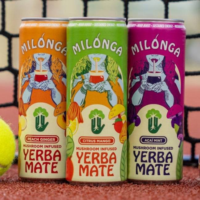 Lion's Mane Yerba Mate
