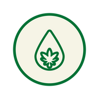 Cannabis
