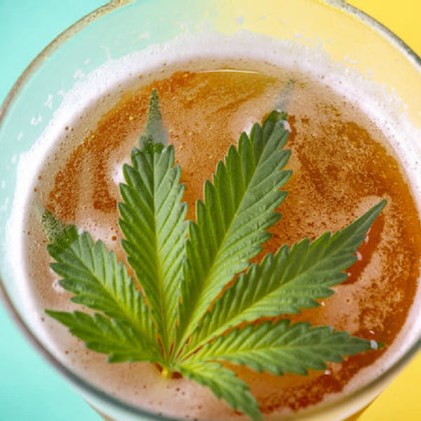 Cannabis Beverages